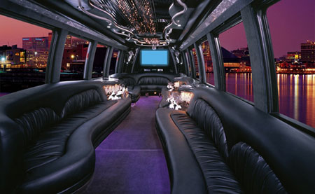 30 passenger mini party bus