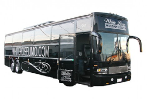Party Bus – 44 Passenger