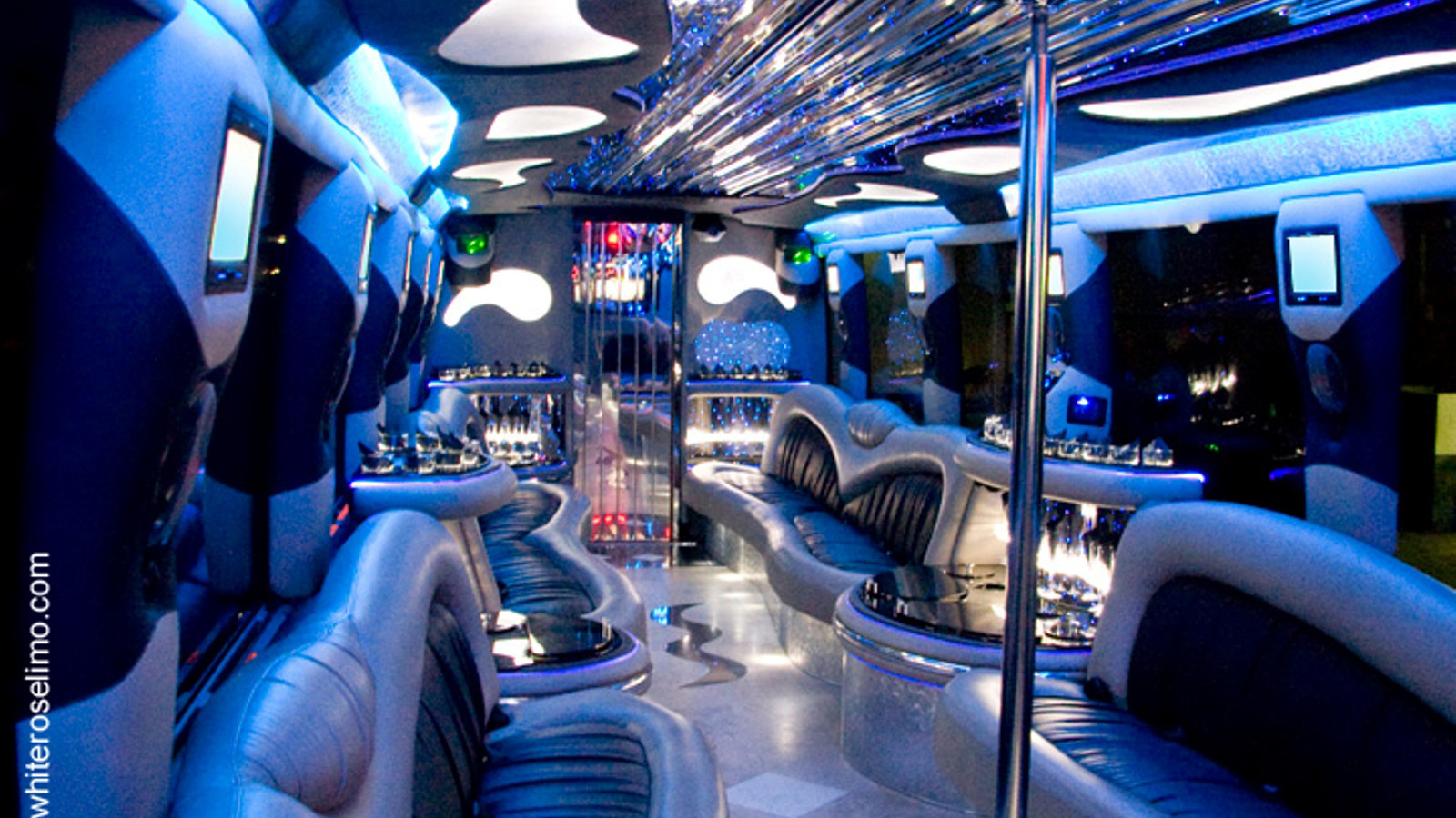 Take a Party Bus to Dana Point White Rose Limousine Blog