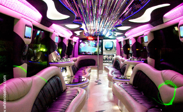 44 Passenger Prom Party Bus 