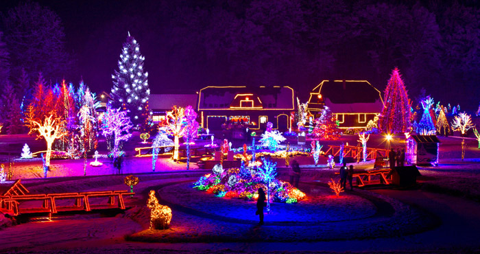 Orange County Holiday Lights Tour