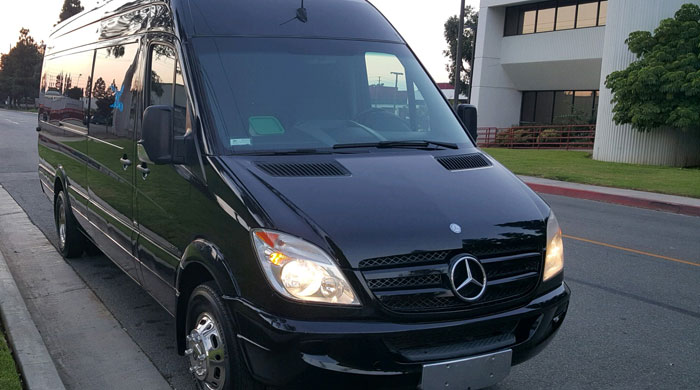 White Rose Mercedes Sprinter Limo